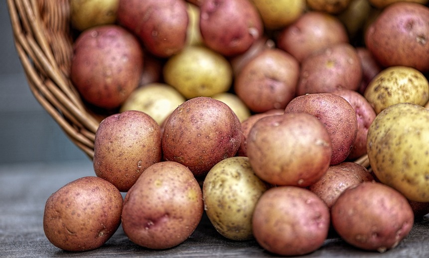 При отказе от сортировки по размеру, производители пообещали поставлять в магазины картошку по цене в два раза ниже.